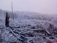 priroda a zver