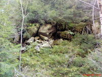 priroda a zver